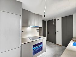 The Landmark (D3), Condominium #525646841